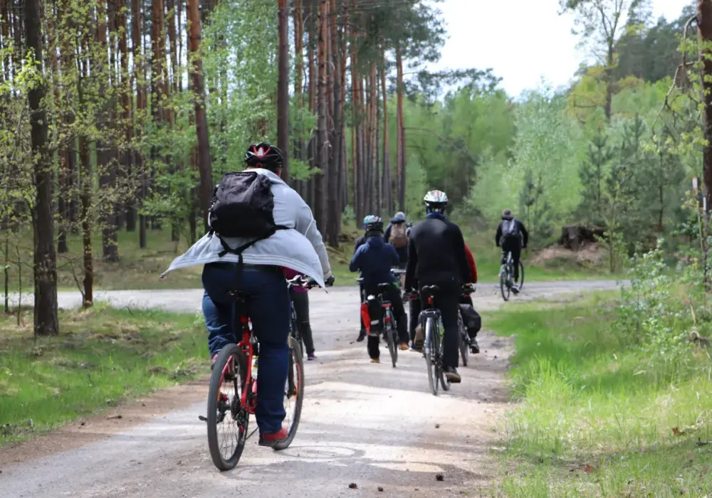 Ile kalorii spalisz podczas godziny na rowerze? Oto zaskakujące fakty