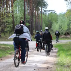 Ile kalorii spalisz podczas godziny na rowerze? Oto zaskakujące fakty