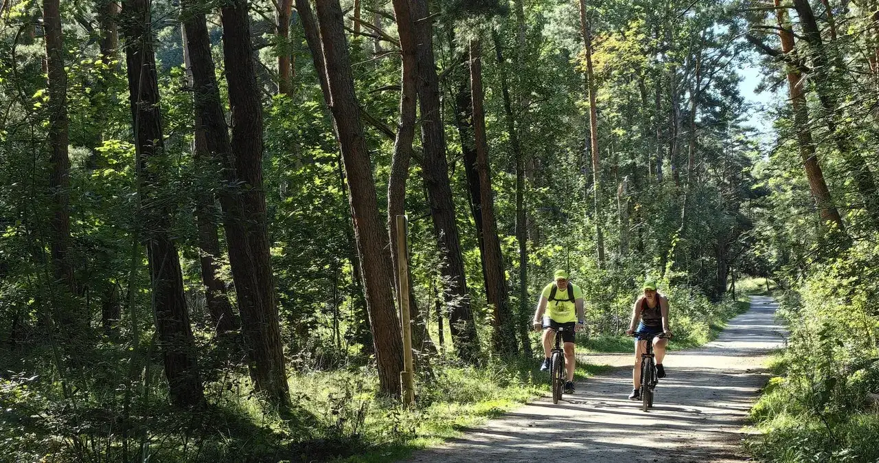 Zdjęcie Najlepsze trasy rowerowe w Puszczy Niepołomickiej - uniknij rozczarowania